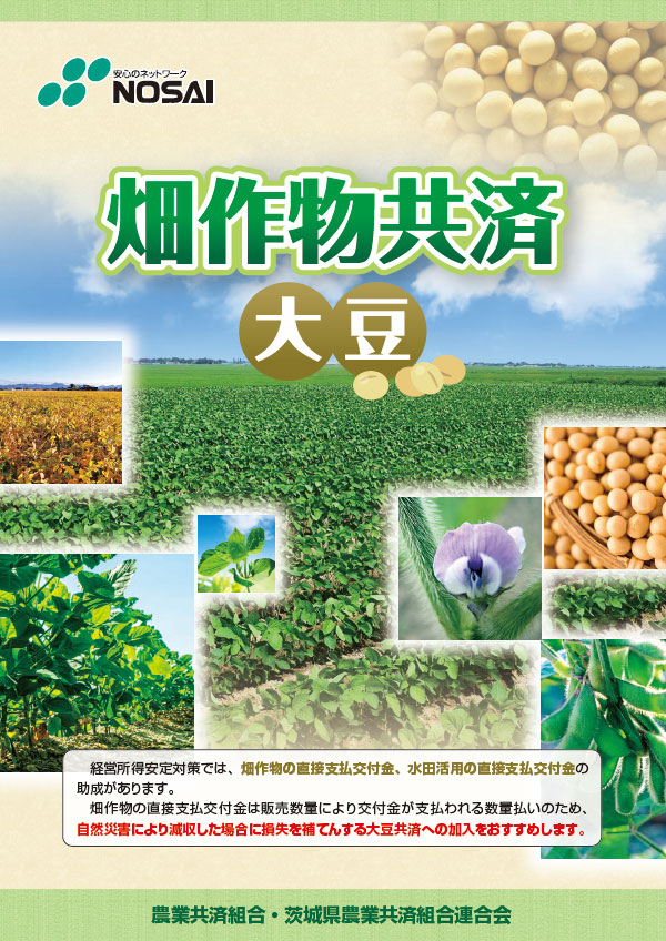 畑作物共済（大豆）