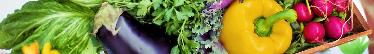 会議室のご利用案内